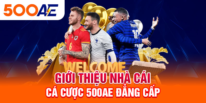 Giới thiệu nhà cái cá cược 500Ae đẳng cấp